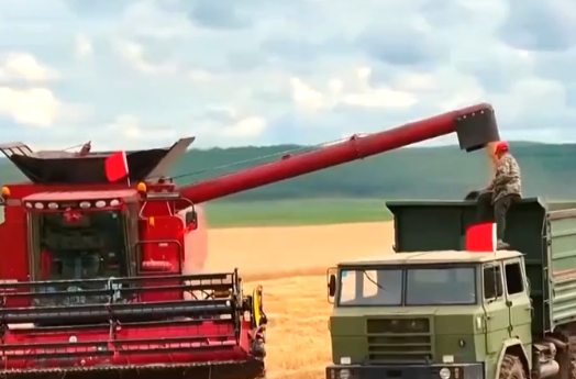 【新思想引领新征程·非凡“十四五”】我国粮食供给保障能力持续增强