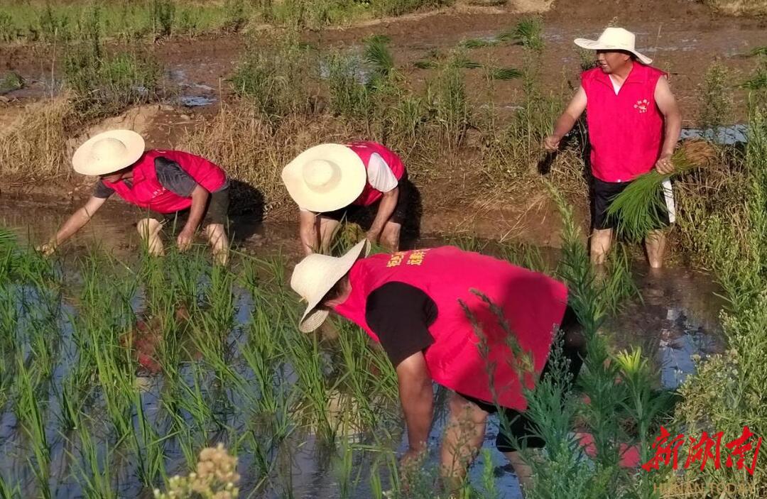 衡南怡海村：党建引领绘就基层治理和美画卷