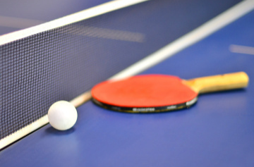 29日赛程公布！王曼昱、林诗栋将登场 期待精彩对决