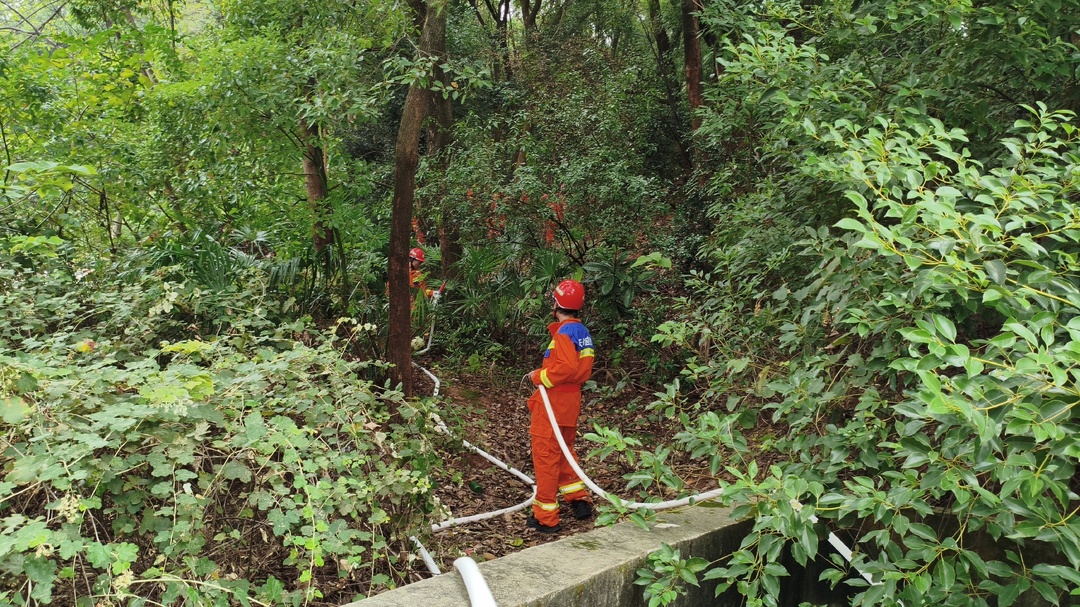 黑石铺街道：以练为战，筑牢森林防火安全防线