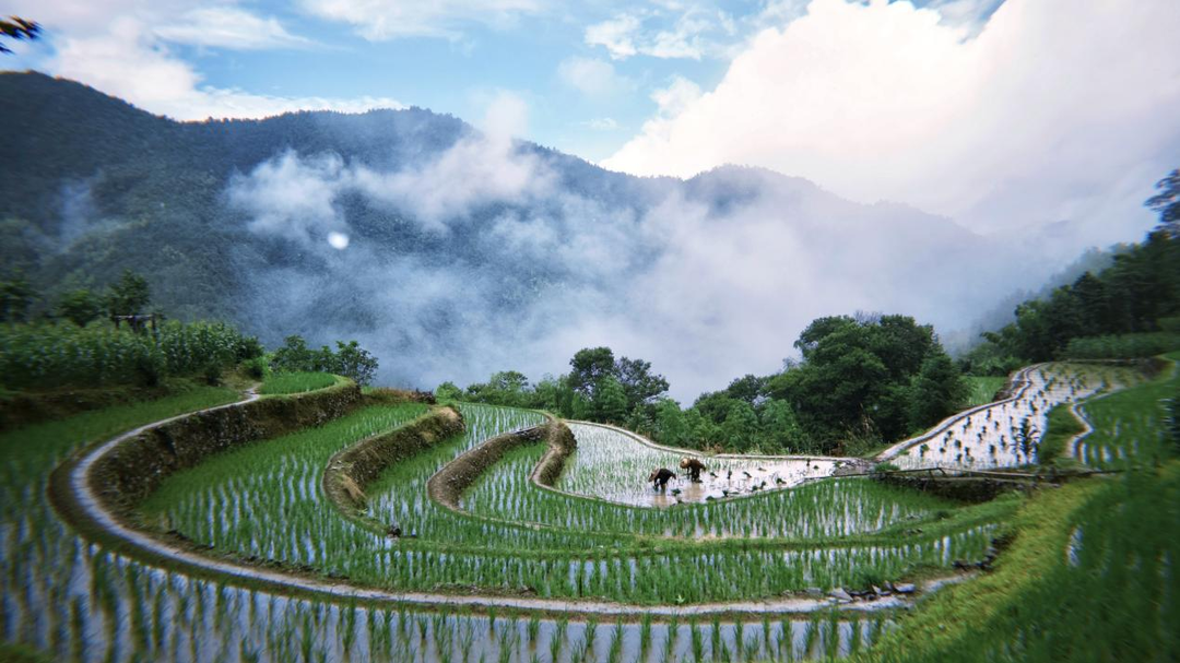 瑶珍米业——以初心守“粮”心