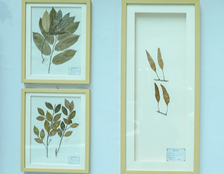 Franco-Chinese Month of the Environment Joint Special Exhibition Opens in Changsha