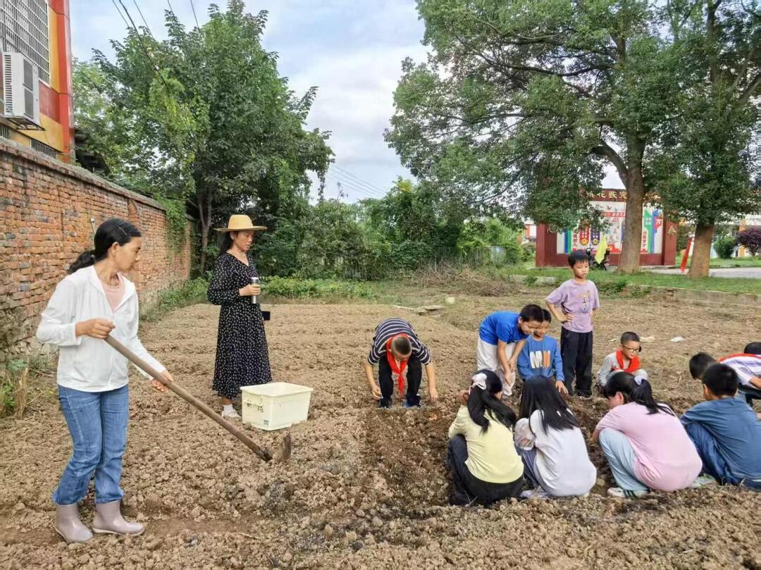 石门花薮完小：深耕劳动教育 赋能多元成长