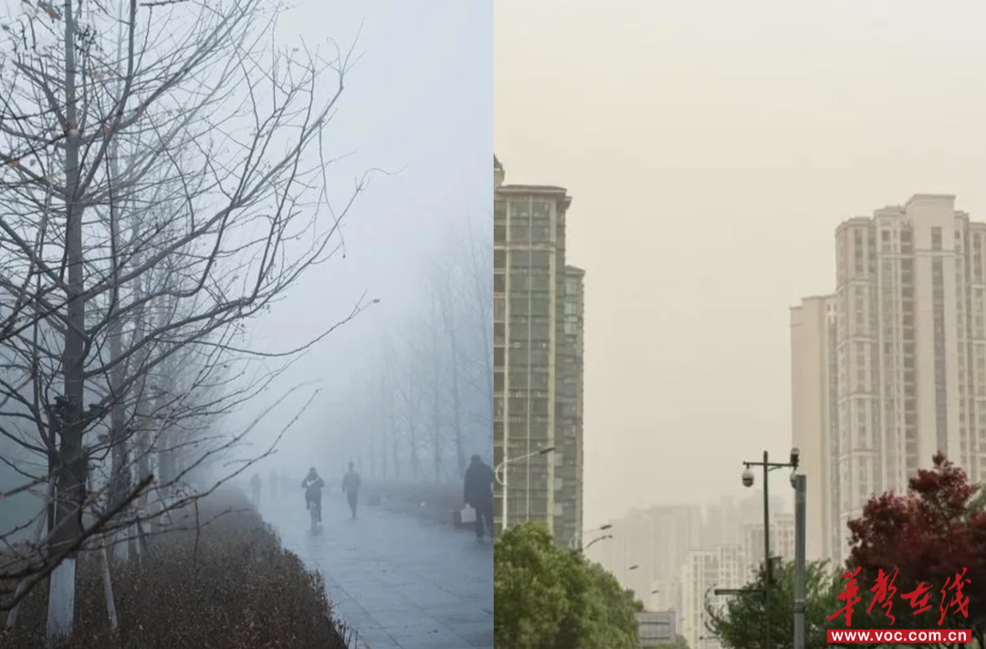如何区分雾和霾？长沙市生态环境局发布辨别指南