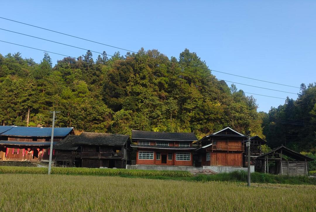 绥宁：绘就村净景美人和新画卷
