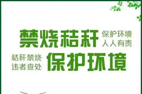 澧县小渡口镇筑牢秸秆禁烧“防火墙”