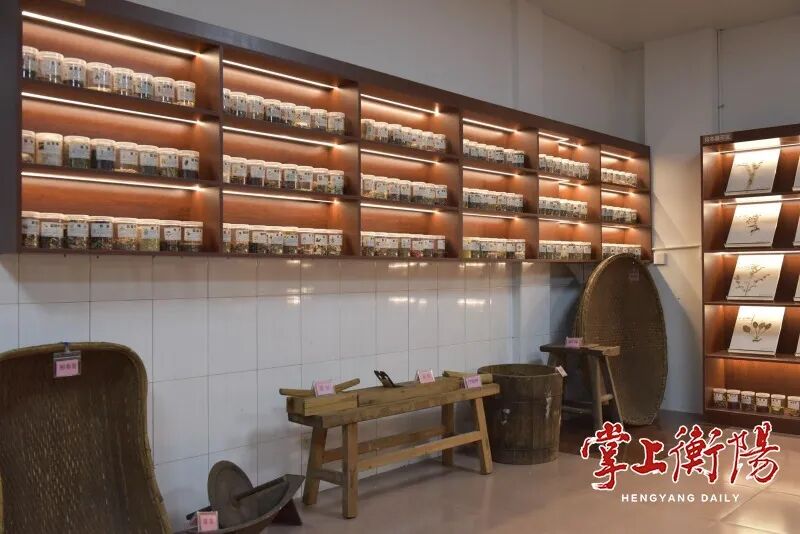 衡阳有个国家级中药炮制基地
