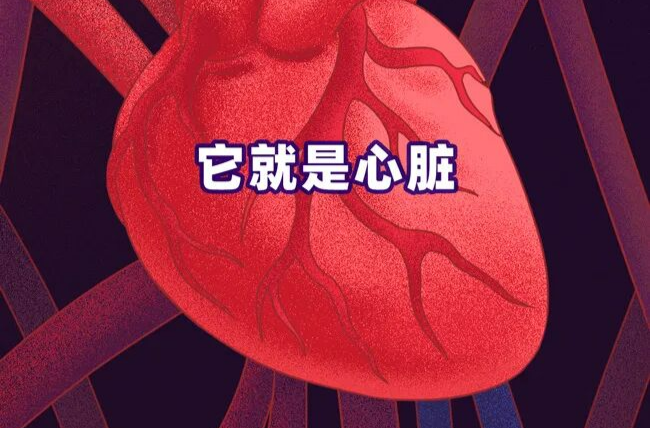 快停下！心脏最怕的 4 件事，你可能每天都在做！