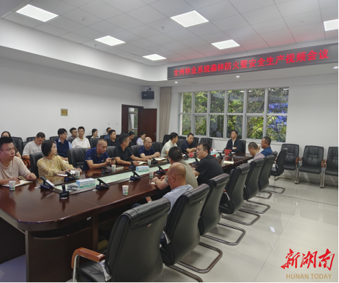 “随手拍”防火！湘西州林业系统森林防火暨安全生产工作视频会议召开