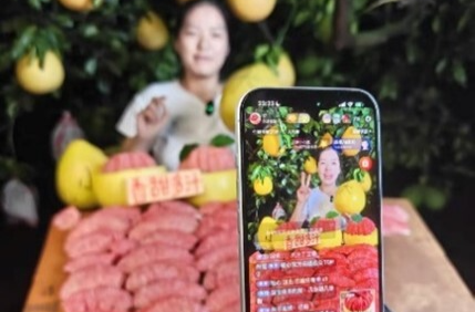 “永湘甄选”团队在全省“村播”大赛获佳绩，助力江永红心蜜柚热销374万元