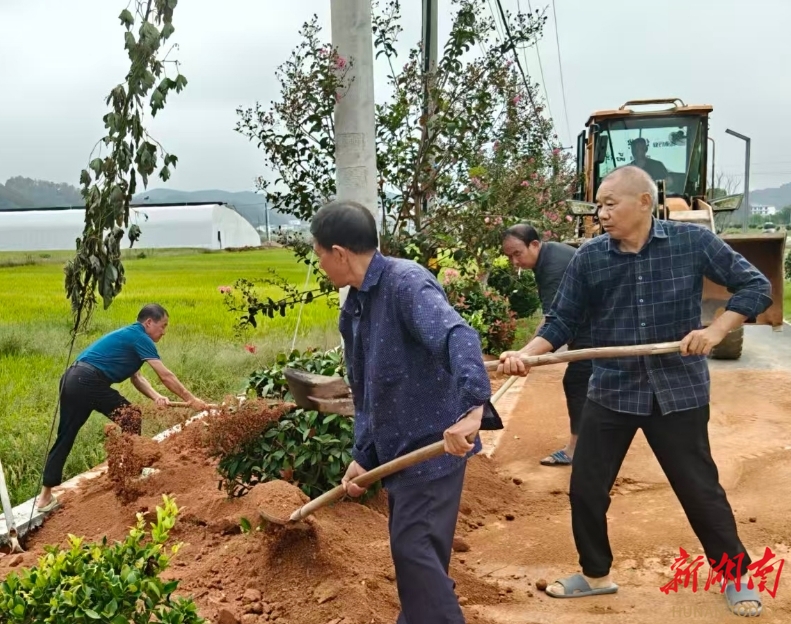 攸县仙石村：党员展风采，村容焕新颜