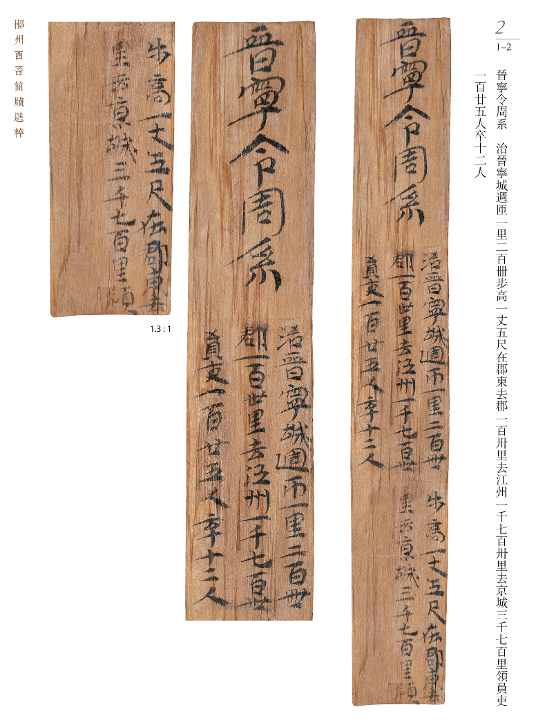 晋简风华①丨杨涛：从出土文献到城市名片，郴州晋简的“院地协作”与活化之路