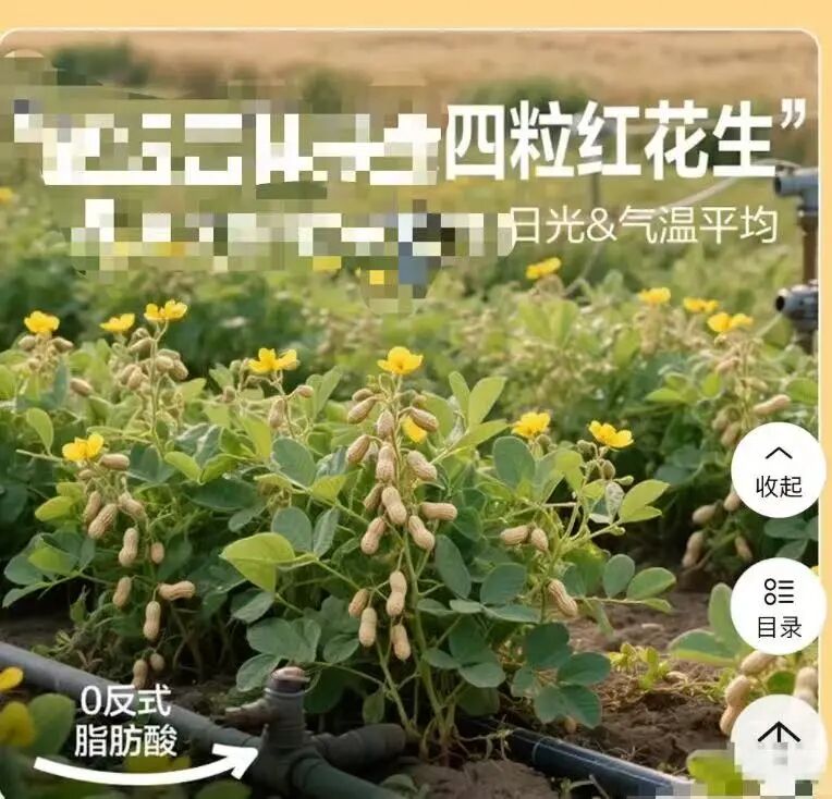 “花生上树了”，AI 竟然敢这么玩？！