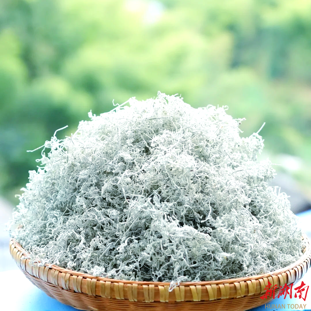 从深山到央视！湘西这两样“宝贝”出圈了