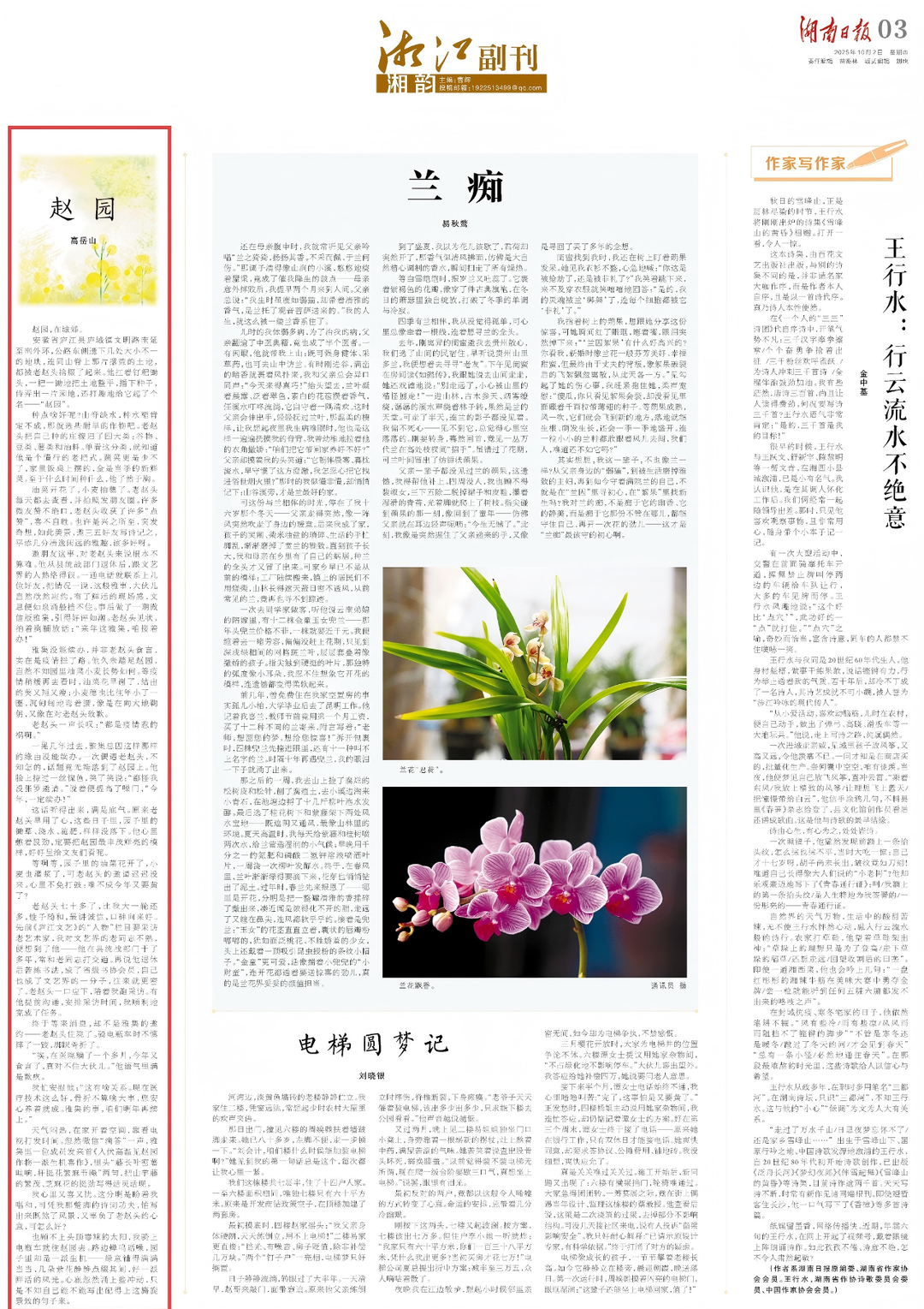 湘江副刊·湘韵丨赵园