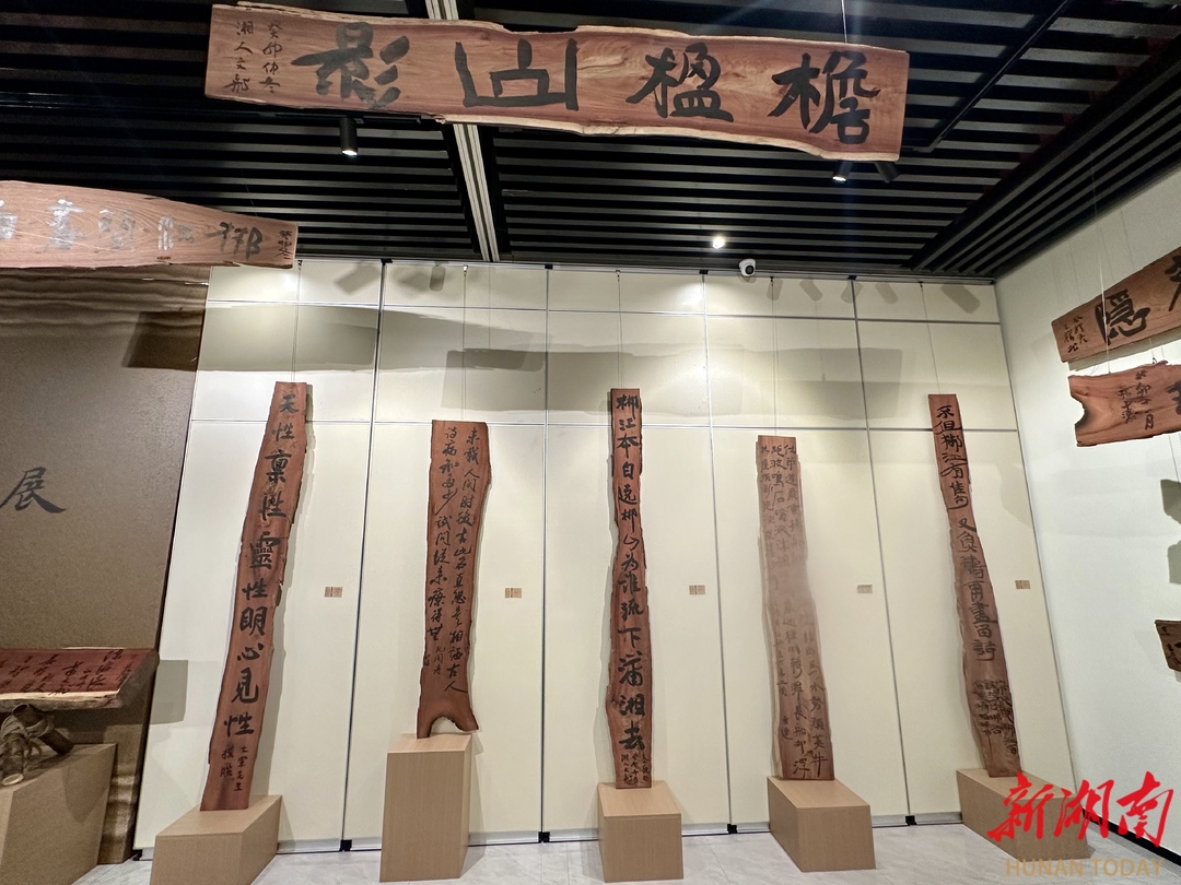 晋简风华——红木匾额书法作品展在郴州博物馆开幕