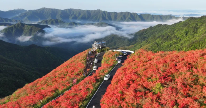 假期第三天，湖南客流1540余万人次