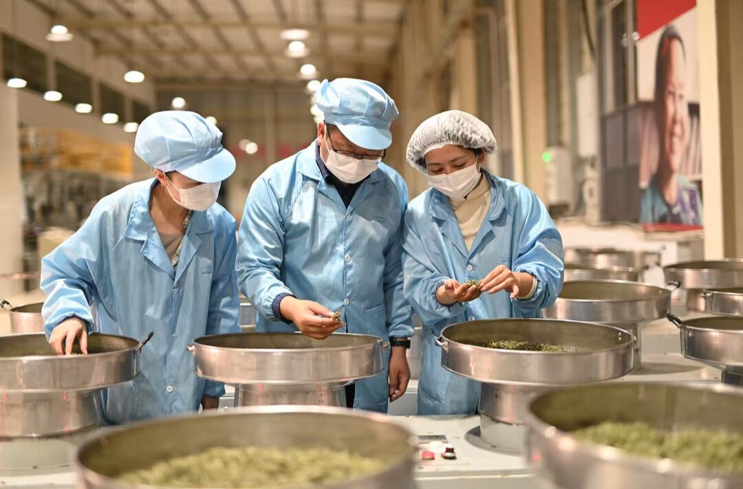 小县大梦 云端起飞——中国光大集团帮扶古丈县“数商兴农”侧记