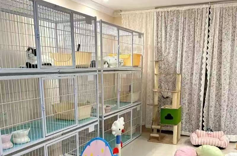 需求激增！男子假期连接270单，其中一笔收费8100元，律师发出提醒