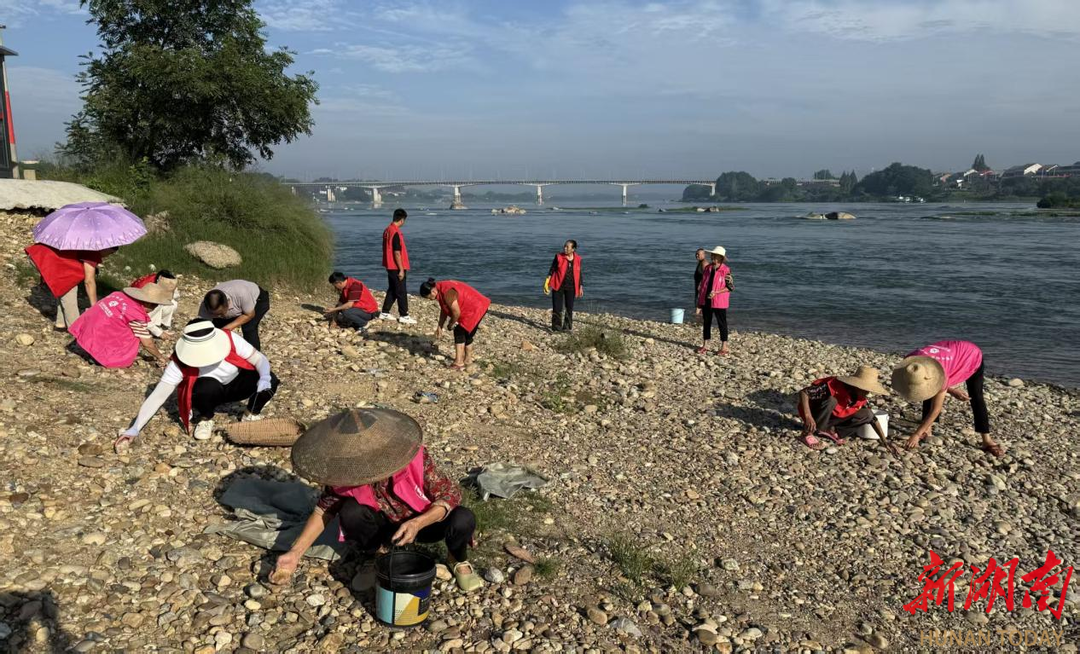 自己的事自己办，桃江县杨家坳社区居民亲手铺就鹅卵石“同心路”