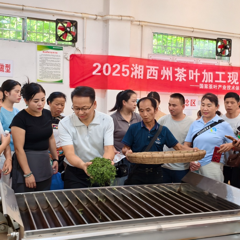 省民族团结进步模范个人⑤｜彭云：用一生坚守改变湘西茶乡面貌