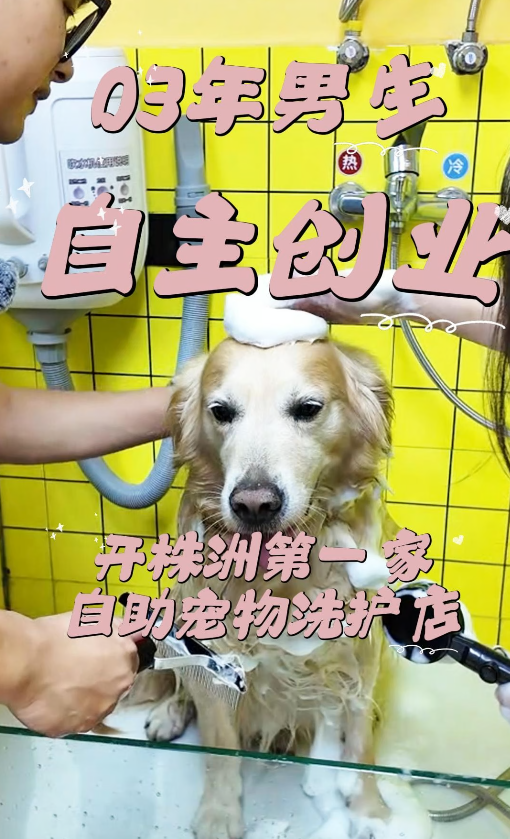 株洲03年男生返乡创业，开辟宠物自助洗护新赛道