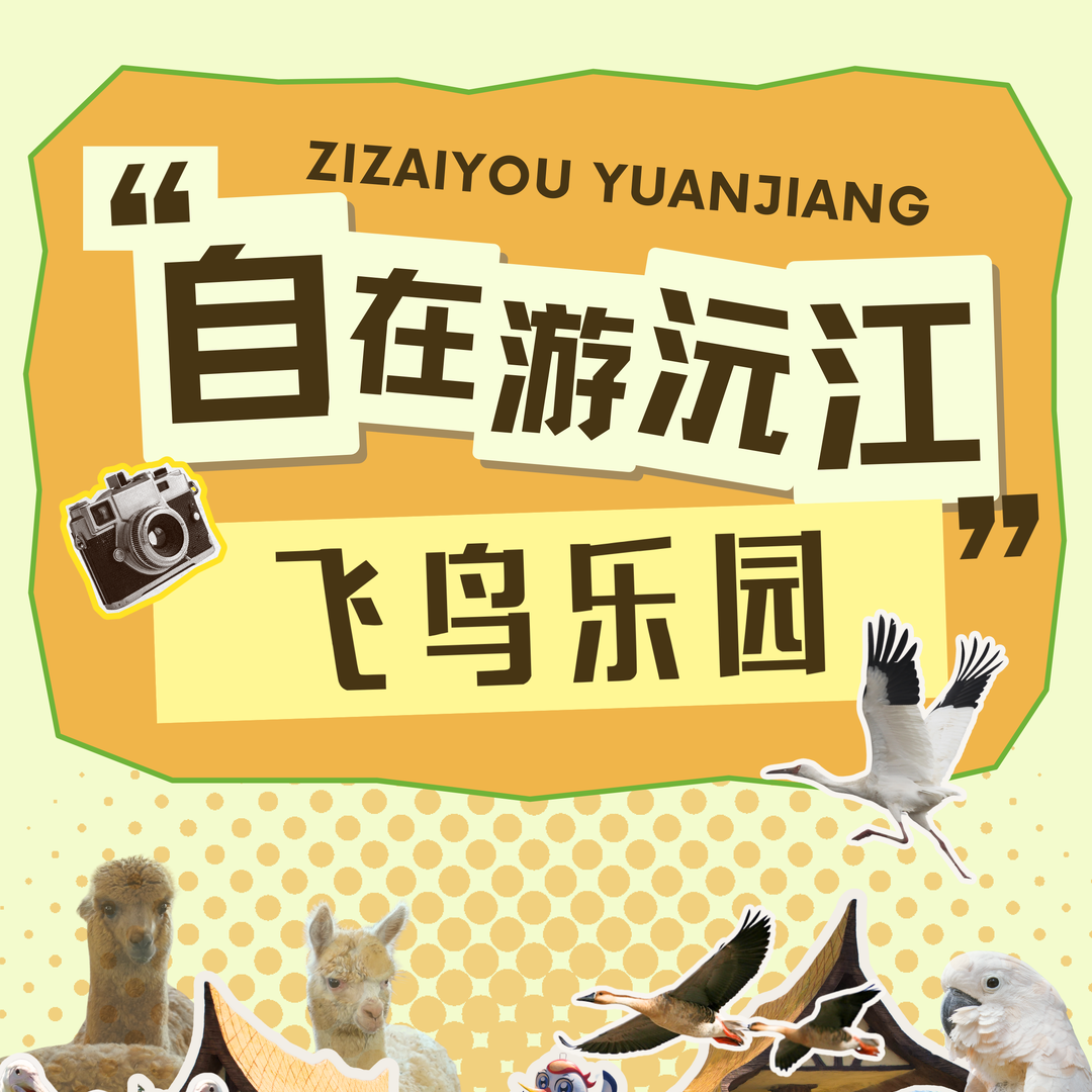快乐“双节”请加“益”⑲︱新晋网红飞鸟乐园上线，遛娃约会都适配！