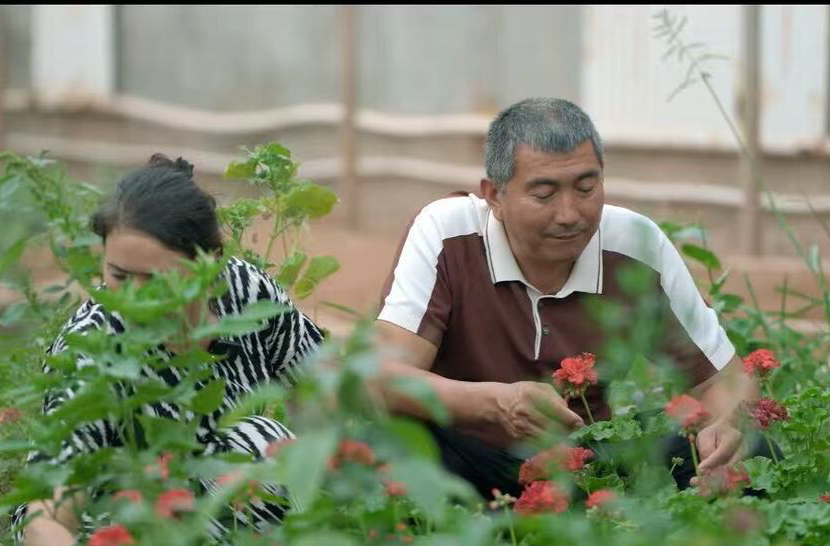 追光的你丨火红的日子