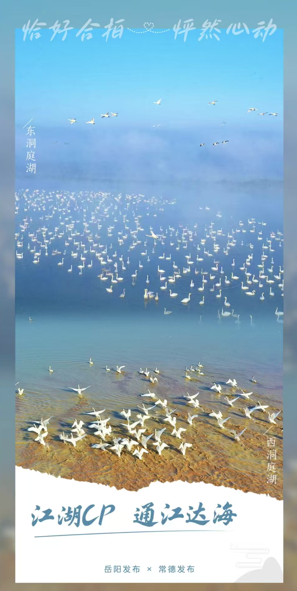 国庆“岳”过洞庭来看你㉞｜岳阳&常德：这对江湖CP，我磕了！