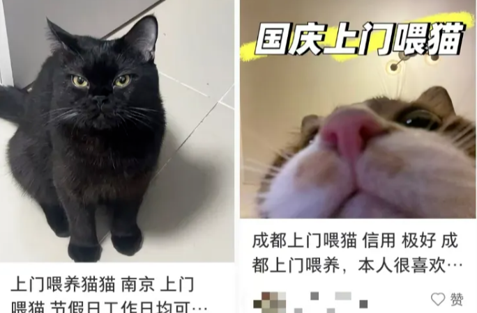 连接270单，单笔最高费用8100元，这项服务国庆假期爆火