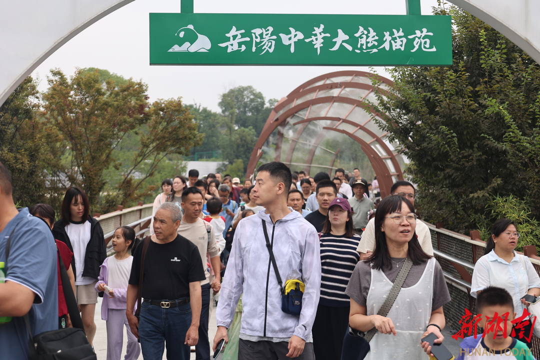 国庆“岳”过洞庭来看你㉙｜单日最高营收创新高！岳阳中华大熊猫苑“人从众”！