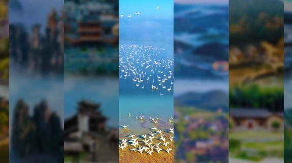 双节游湖南⑤｜常德&岳阳：江湖CP 通江达海