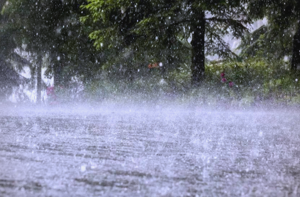 中央气象台双预警齐发 多地将有暴雨大暴雨