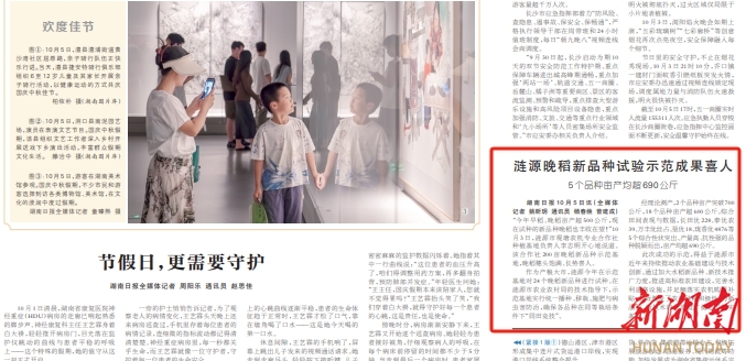 涟源晚稻新品种试验示范成果喜人|湖南日报