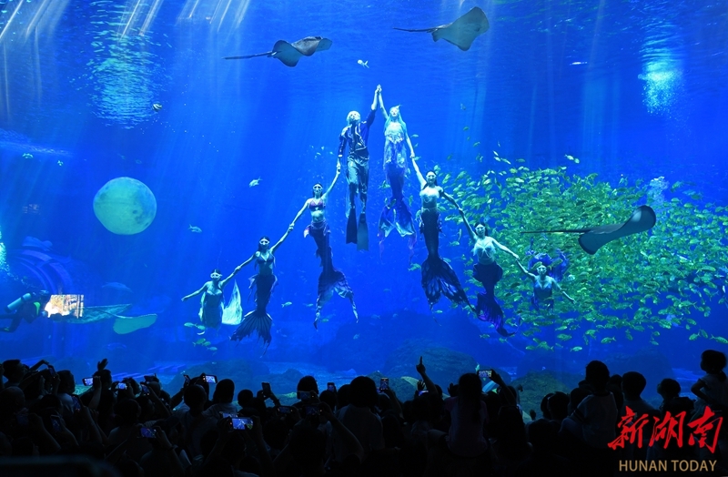 海洋公园国潮盛宴引客来