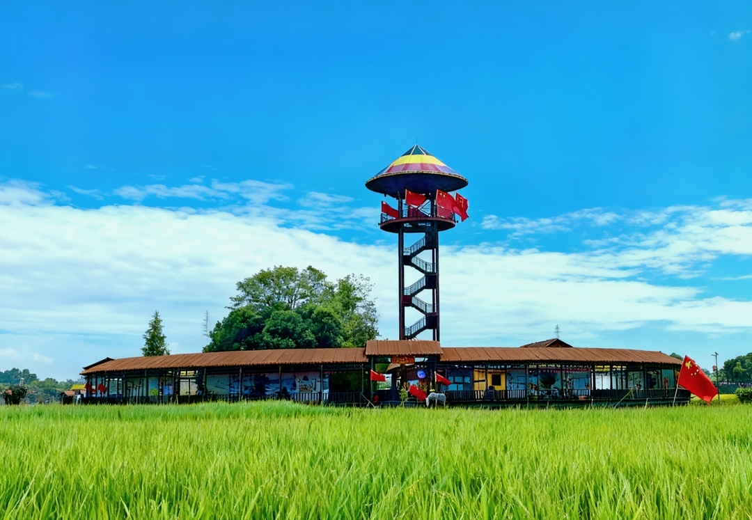 传统文化绘就乡村振兴新画卷——中景文旅携手湖南信息学院谱写国庆产学融合新篇章