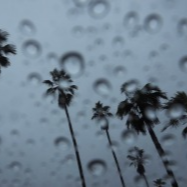 北方降雨频繁秋凉加重 江南华南等地仍多高温天气