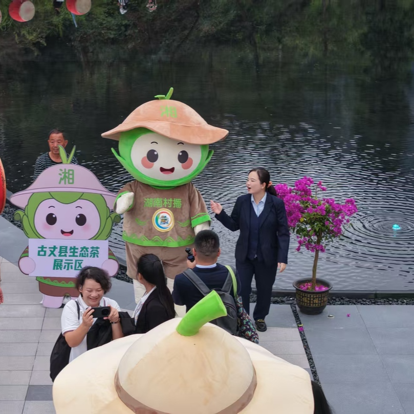 古丈县千年茶乡拓宽富民路@湖南日报头版头条