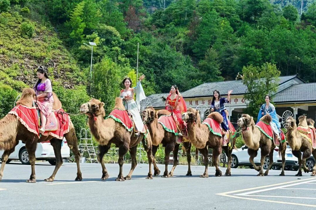 国庆玩转邵阳㊽ | 接住“奔县”流量，新邵两天揽客14.74万人次！