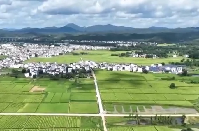 新思想引领新征程丨绘就乡村全面振兴壮美画卷