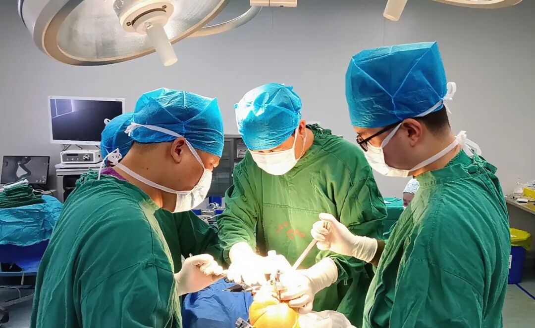 骨健康领跑者丨湘潭市中医医院五病室：“骨”舞中西 步履新生
