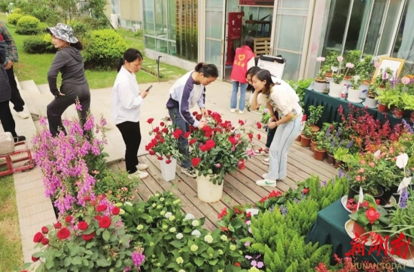 湖南日报特稿丨长沙县安沙镇：小院经济绘新景，满院生辉促振兴