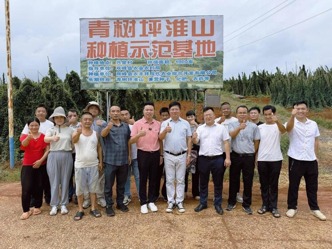 朱增辉：以“电商”为笔 描绘乡村振兴新画卷