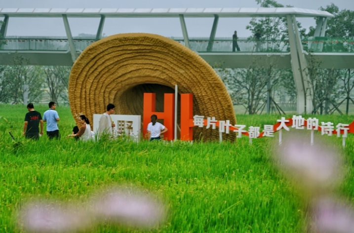 Find Solace in Nature: Embrace the Daze Lake Wetland Park