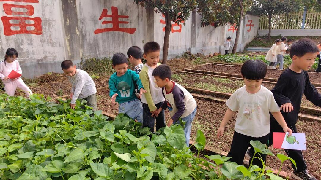 南县中鱼口镇育红小学劳动教育绘就家乡情