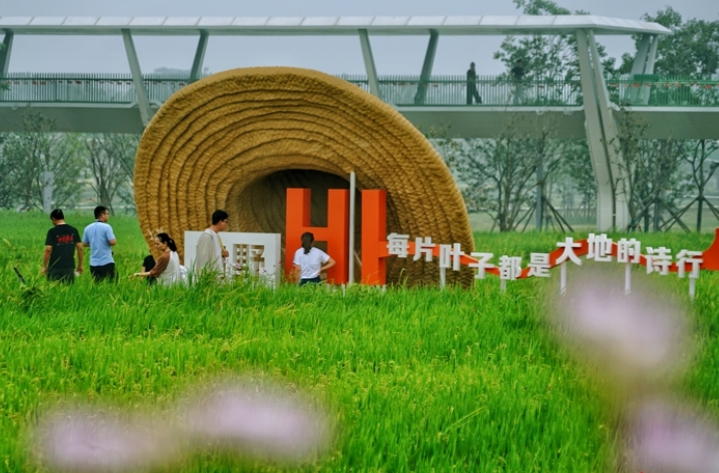 Find Solace in Nature: Embrace the Daze Lake Wetland Park
