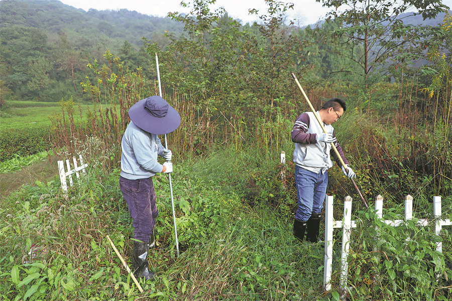Chamber of Southern Song tomb reawakens history