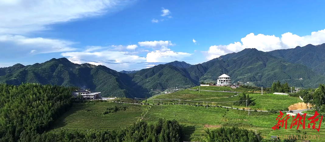 奉家镇渠江源：多元新业态催生旅游热潮