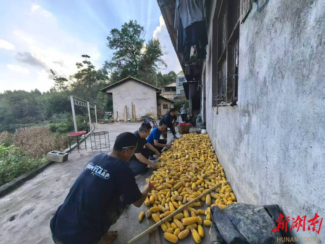 法院“沉底”解民忧，黄庄绘就振兴图——张家界市永定区人民法院以精准帮扶激活乡村发展动能