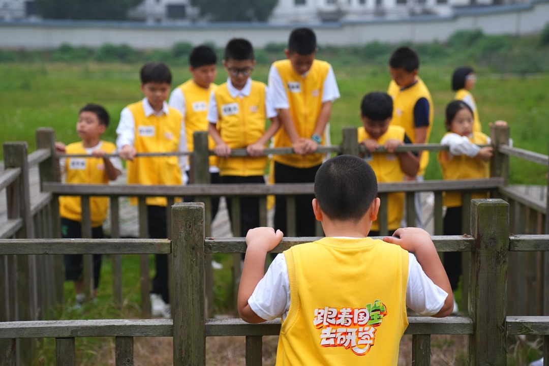 简“牍”益阳·国宝重生探秘营在益阳市博物馆开营